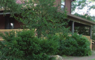 homeforkids-location-1
